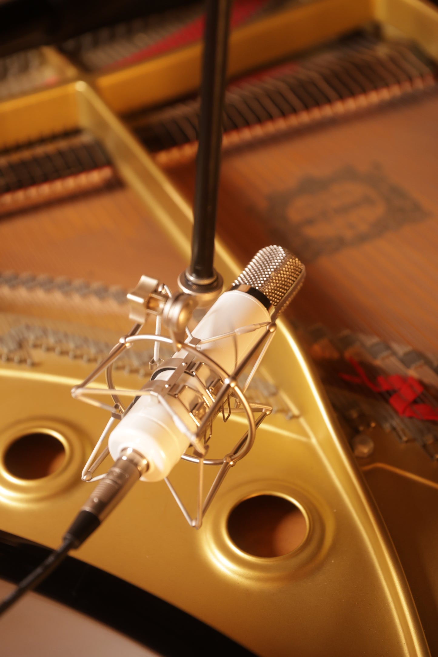 Monheim Crème Tube Condenser Microphone