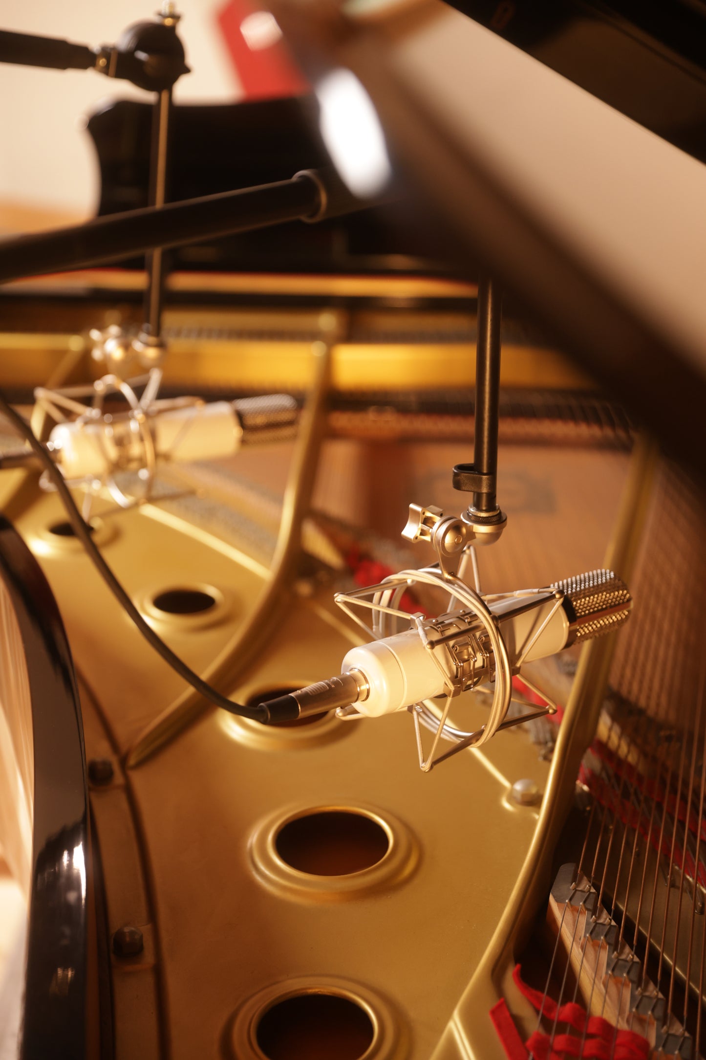 Monheim Crème Tube Condenser Microphone
